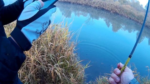 Да СКОЛЬКО же РЫБЫ в этой ПРОТОКЕ!? Рыбалка ЖЕРЕХ на каждом забросе смотреть онлайн