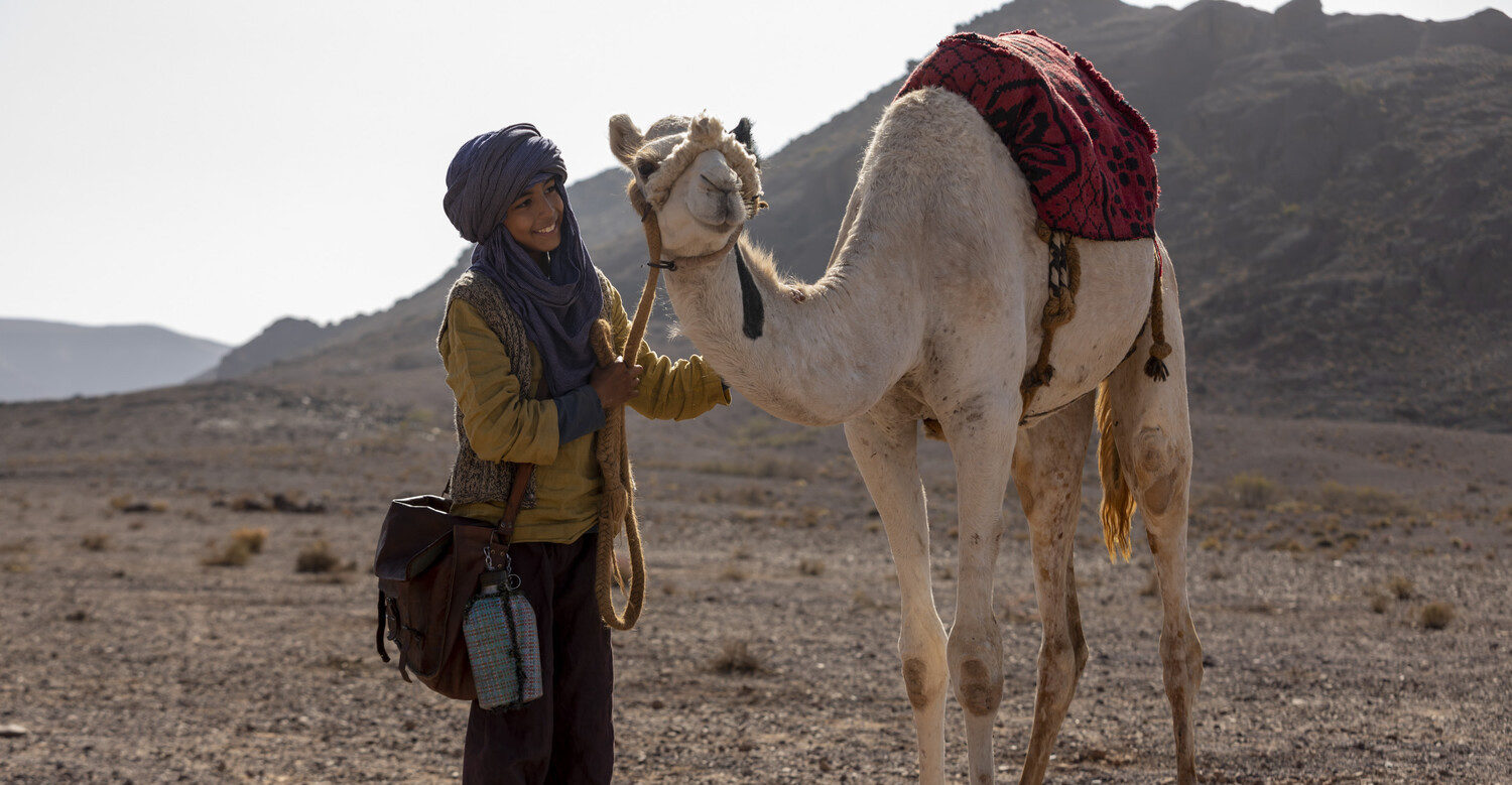 Принц пустыни - Русский трейлер (HD) смотреть онлайн