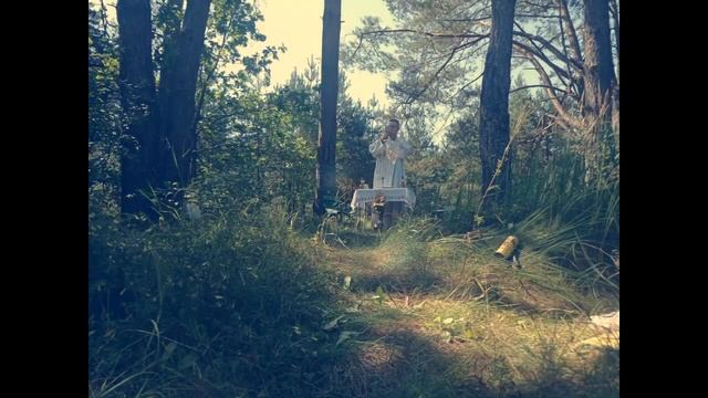 Байдарки 2023 смотреть онлайн