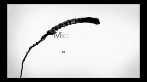 Как изменить язык в игре State of Decay 2 русификатор