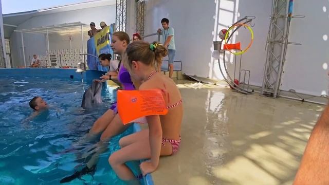 Плавание с дельфинами в Анапе смотреть онлайн
