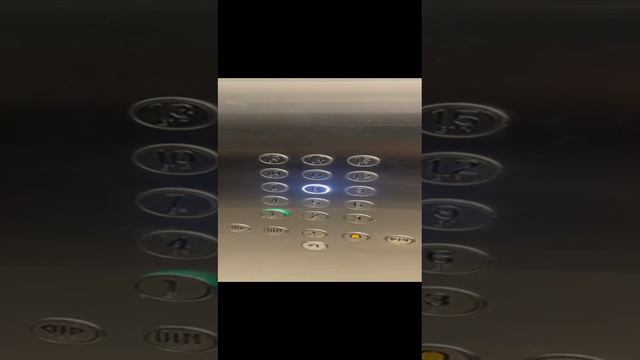 VID-20240627-WA0022.mp4 смотреть онлайн
