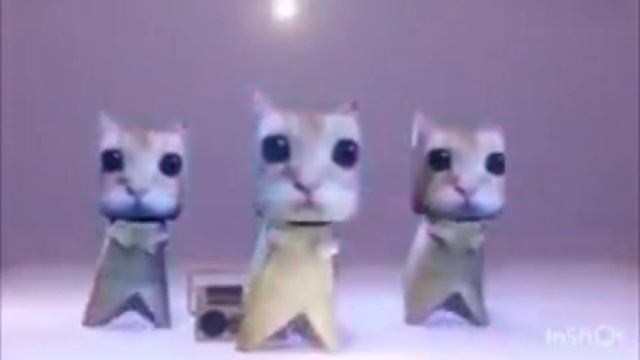 котики танцуют под kitty phonk смотреть онлайн