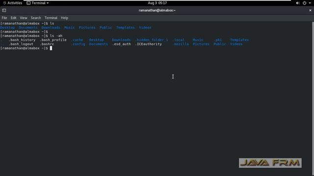 How to View and Create Hidden Files and Folders on AlmaLinux 8 смотреть онлайн