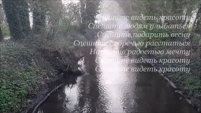 Ирина Крайдер - СПЕШИТЕ ВИДЕТЬ КРАСОТУ, муз. и сл. И.Крайдер смотреть онлайн
