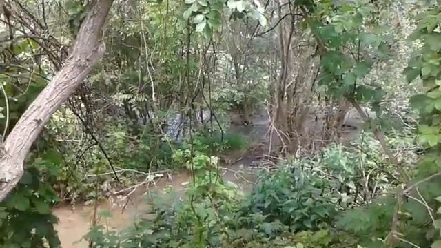 Река Бурульча. Крым. Конец мая. смотреть онлайн