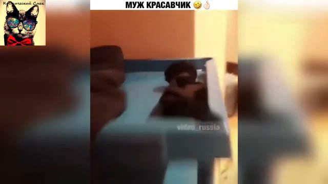 самое смешное январь 2019 #2 тик ток видео, забавные животные, like a boss смотреть онлайн