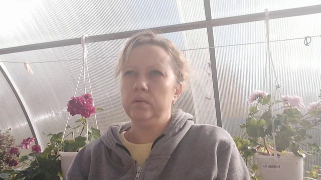 Зимняя теплица делитанта. Приветствие.