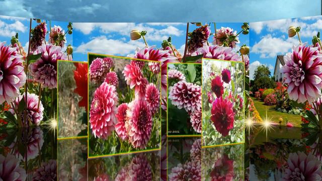 ЖОРЖИНИ весільна смотреть онлайн