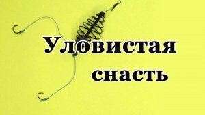 Простейшая, уловистая донка для ловли карася и карпа.