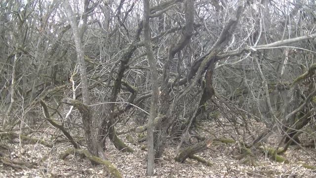 Поездка на Кубань(Новокубанск) 2021 весна смотреть онлайн