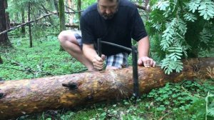Сверхлёгкая Лучковая Ураган Пила - Распиливаем сырой сосновый ствол 20см