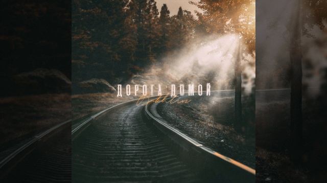 Дорога домой