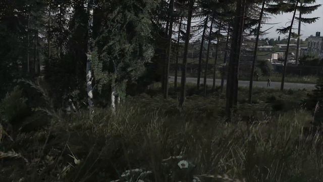 Тебе повезло меньше, чем мне - DayZ Livonia смотреть онлайн