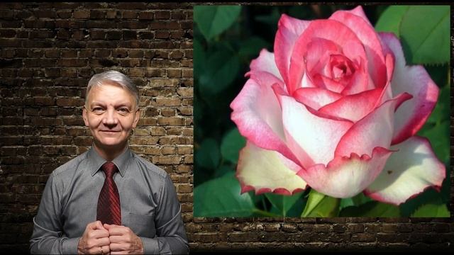 Тест на внимательность 03. Сложный уровень! ржя. глухих. деаф. rsl/ deaf смотреть онлайн