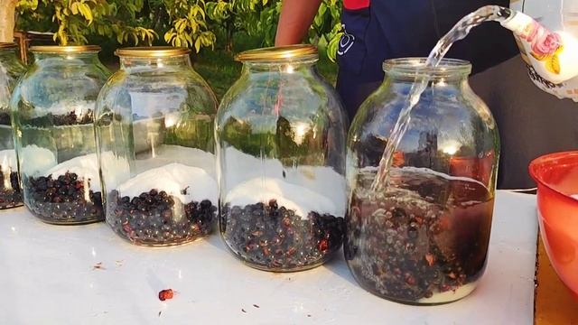 We Picked Currants. How To Make Blackcurrant Compote And Jam? #villagelife #currant #compot #jam