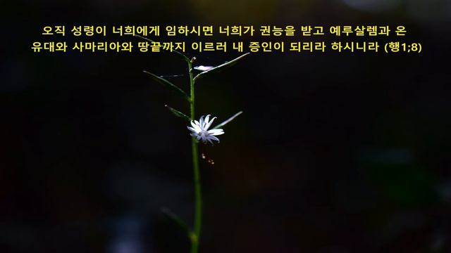 감국20 смотреть онлайн