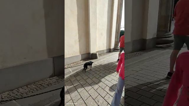 Бранденбурские ворота сегодня, субботним летним вечером.. разнообразный Берлин весь собирается здес смотреть онлайн