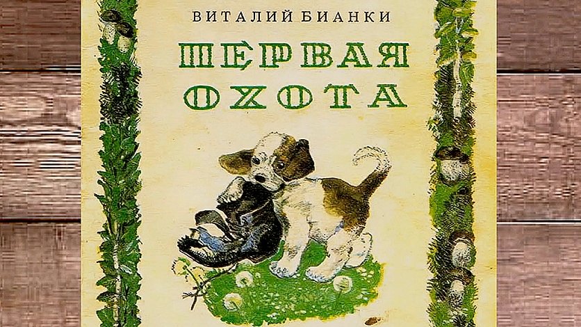 Бианки В. - Первая охота.mp4 смотреть онлайн