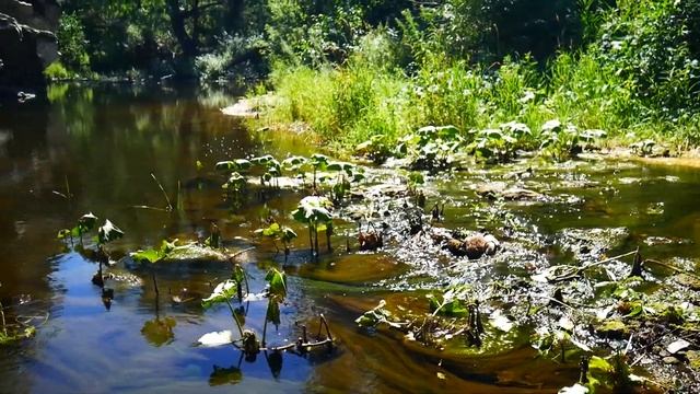 Ущелье Каменные ворота на р Губерле смотреть онлайн