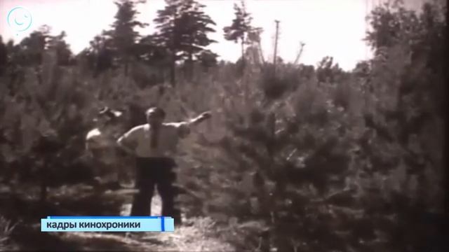 В Академгородке открыли интерактивную выставку-инсталляцию "Лаврентьев и другие" смотреть онлайн