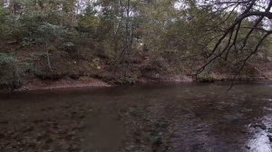 Рыбалка на Юге Сахалина