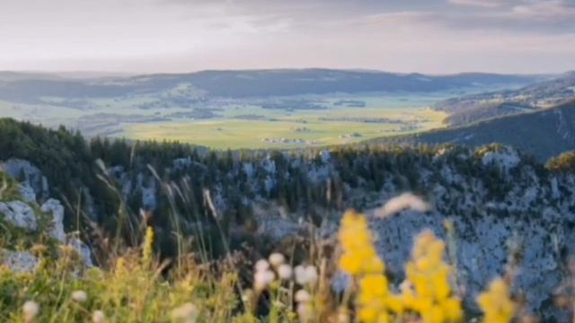 КОГДА ТЫ ВСЕ ДЕЛАЕШЬ ОТ СЕРДЦА... /... АЗЫКИЭИЛ.. / смотреть онлайн