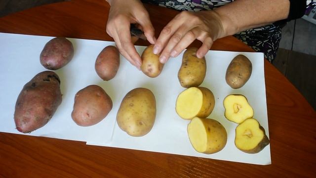 Начинающий картофелевод! Помогите определить сорта картошки! смотреть онлайн