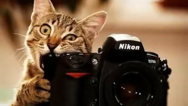 Грызу гранит науки смотреть онлайн