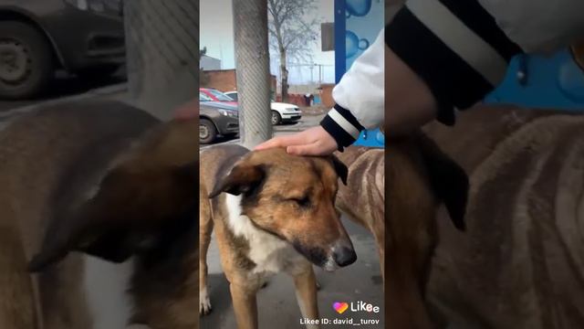 Это я заметил в Like мне очень понравилось может и вам понравится(не оригинал) смотреть онлайн