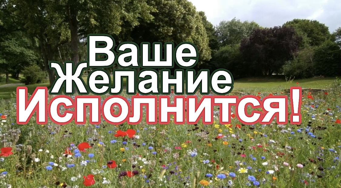 ВАШЕ ЖЕЛАНИЕ ИСПОЛНИТСЯ! Мощнейшая техника исполнения желаний! смотреть онлайн