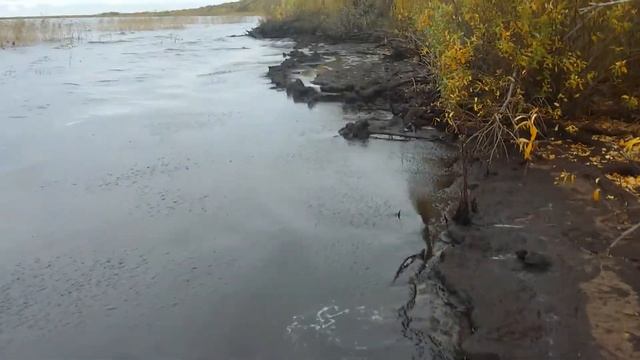Как выглядит сапропель? Что это такое? смотреть онлайн