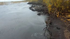 Как выглядит сапропель? Что это такое?