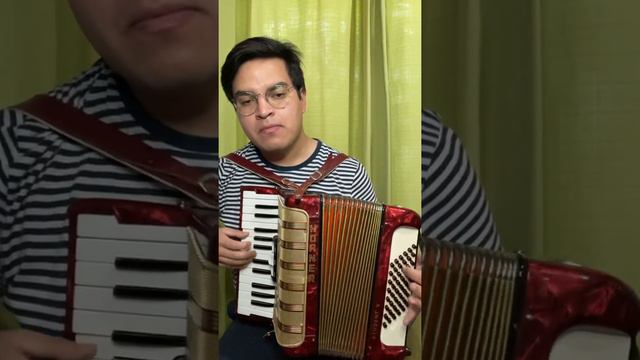 Acordeón Hohner Student (MM) 48 bajos | Vive Acordeón Store 93 смотреть онлайн