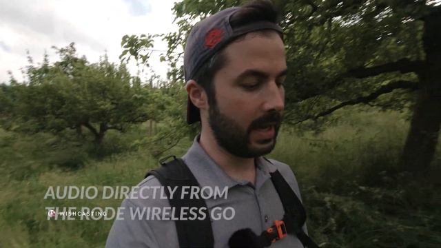 Best Wireless Mic Under 180$ | Rode Wireless Microphone Review смотреть онлайн