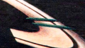 Вот что рассказал астрофизик с 40-летним стажем Майкл Риттер, работавший в НАСА