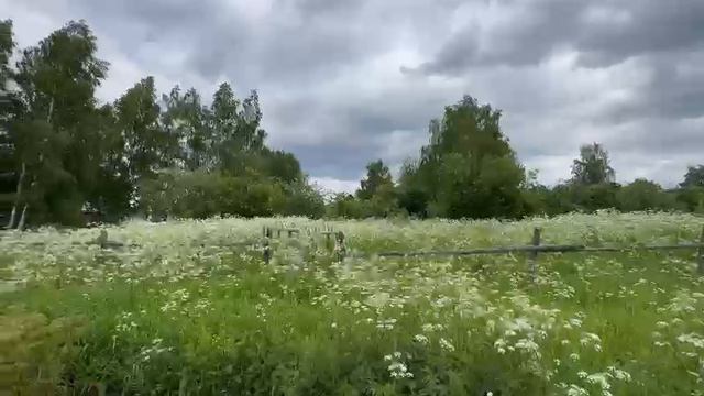 Видео зу 1017 Снопово смотреть онлайн