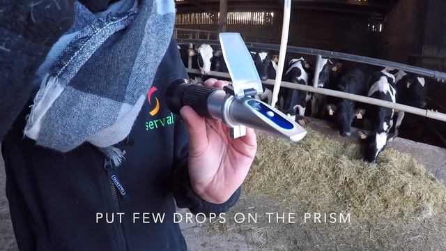 Weaning Tutorial Serval - Colostrum смотреть онлайн