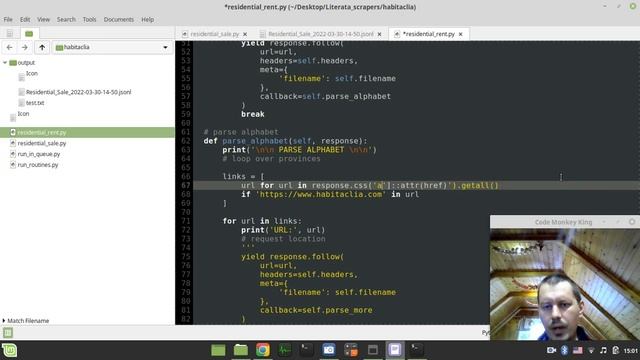 Spanish REAL ESTATE property Python SCRAPY scraper restoration | Habitaclia WEB SCRAPING смотреть онлайн
