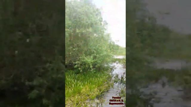 Готовим солонцы для Лося и Косули. Часть 1 смотреть онлайн