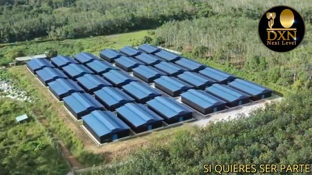 Video Coorporativo DXN 2023 смотреть онлайн