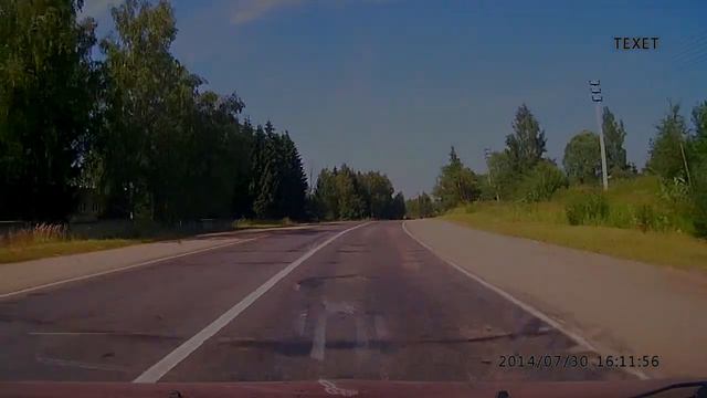 Глупая кошка на дороге смотреть онлайн