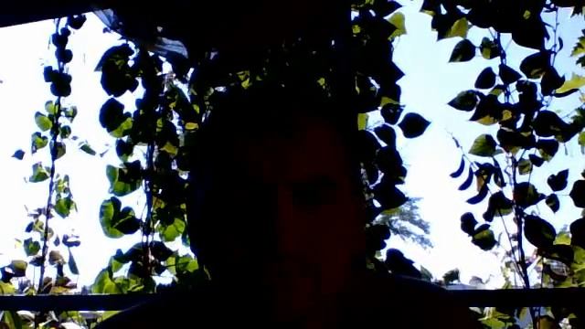 Видео с веб-камеры. Дата: 24 июля 2014 г., 12:53. смотреть онлайн