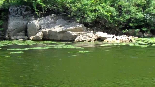 Какой водой лучше поливать огород. смотреть онлайн