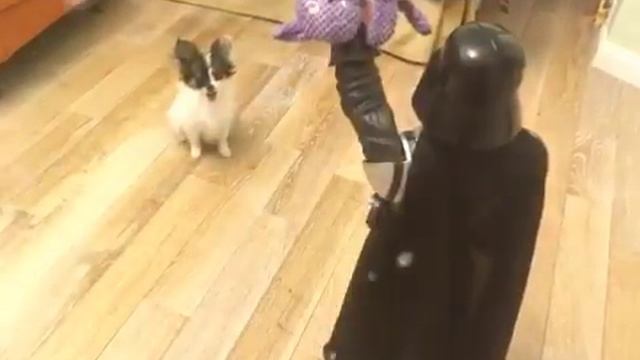 Новогодняя история Ники смотреть онлайн
