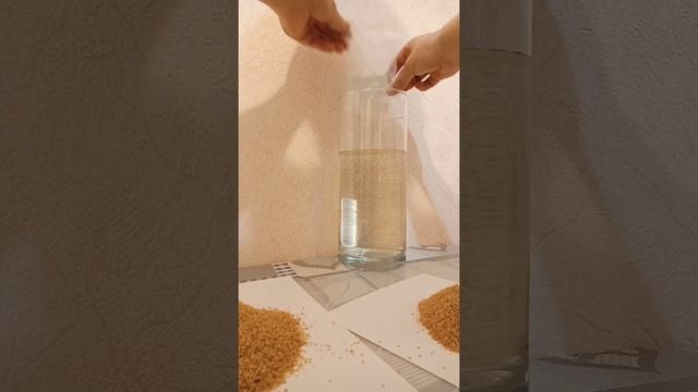 Появление из сухой дафнии живой