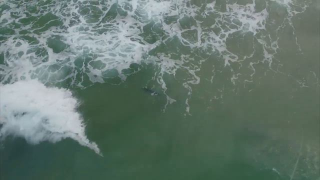 Ловля тунца с помощью квадрокоптера (Drone Fishing For Tuna) смотреть онлайн