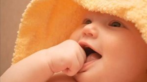 День открылся на зоре