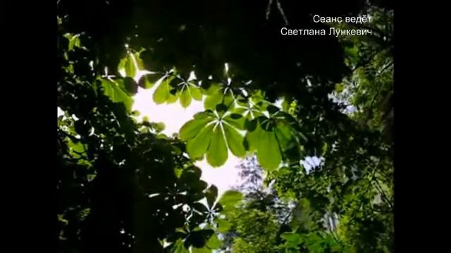 Сеанс регрессии. ТРУДНЫЕ ОТНОШЕНИЯ С НАЧАЛЬСТВОМ - 3. Желание уволиться и переехать жить на море. смотреть онлайн