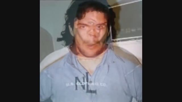 robert holub смотреть онлайн